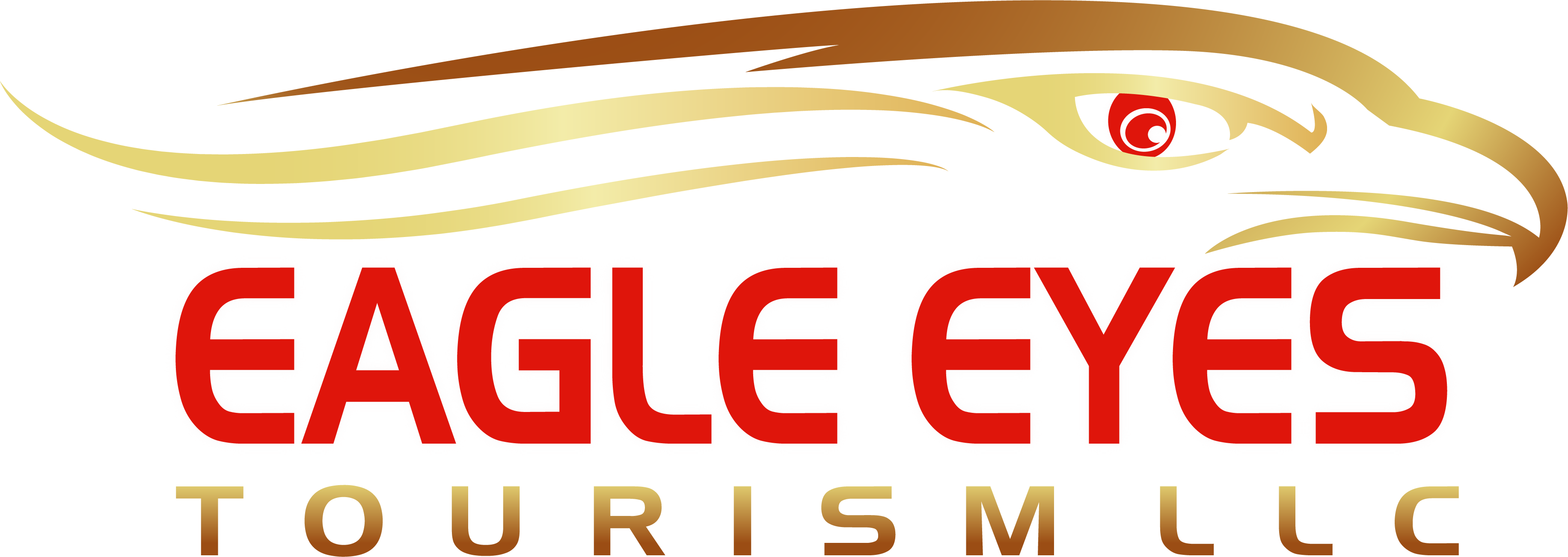 Eagle Eyes 